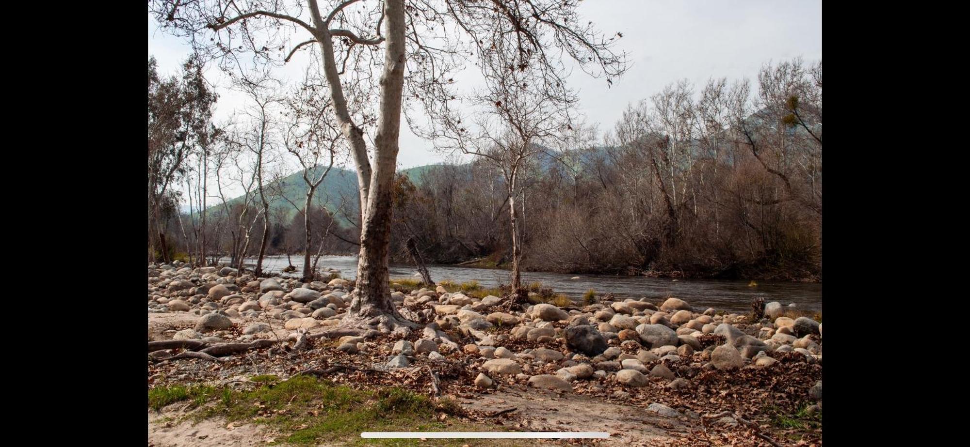 Sequoia River Front Cabins Three Rivers Buitenkant foto