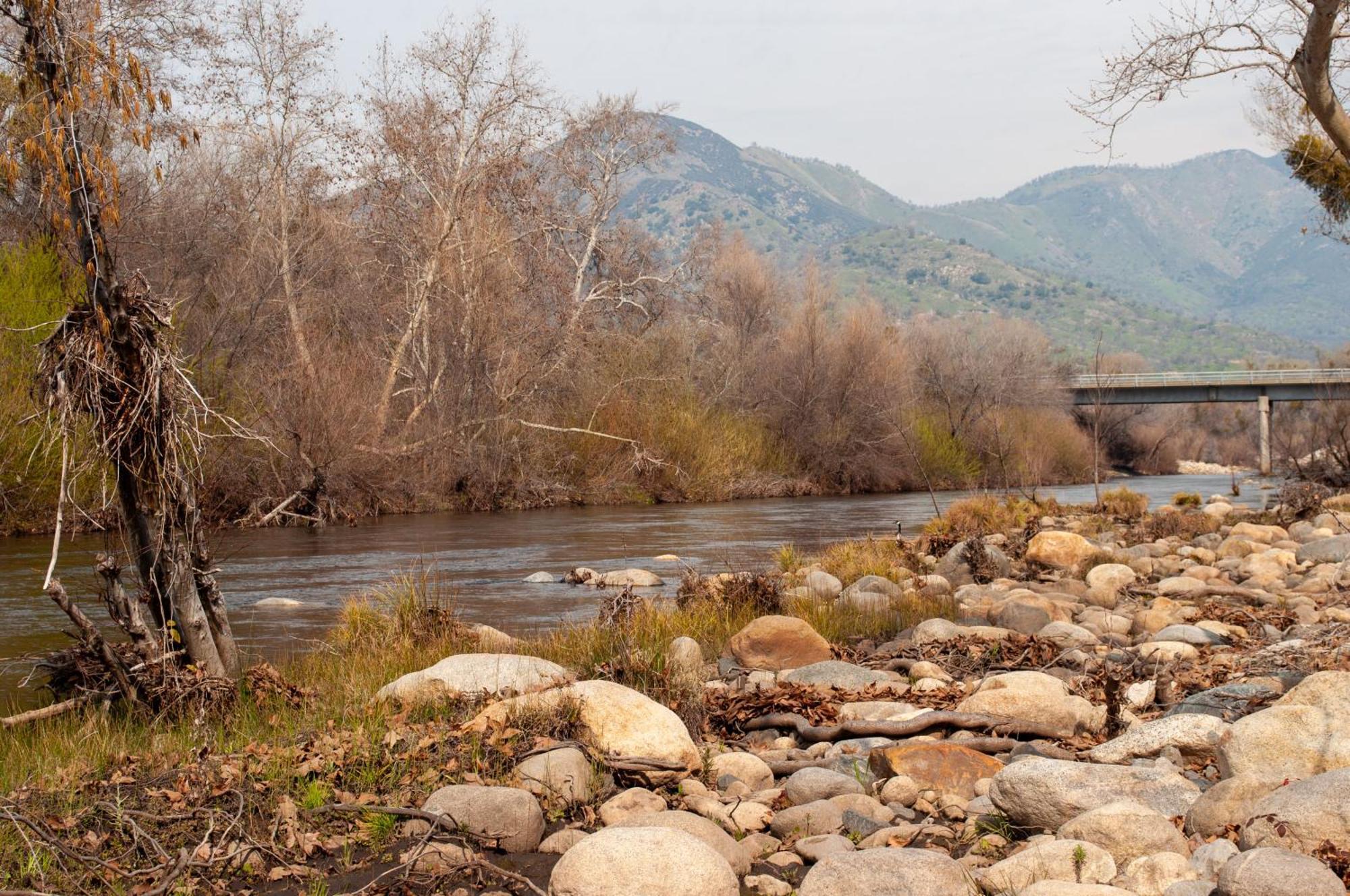 Sequoia River Front Cabins Three Rivers Buitenkant foto