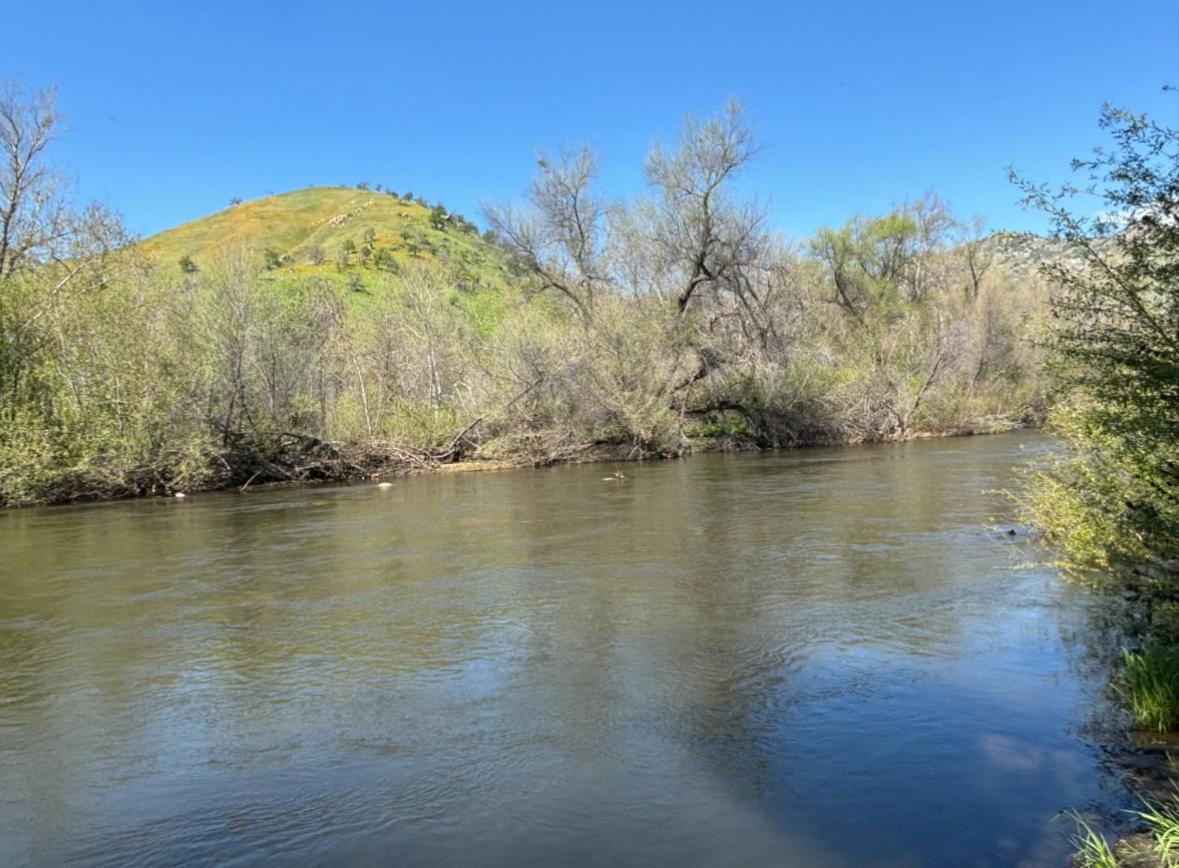 Sequoia River Front Cabins Three Rivers Buitenkant foto