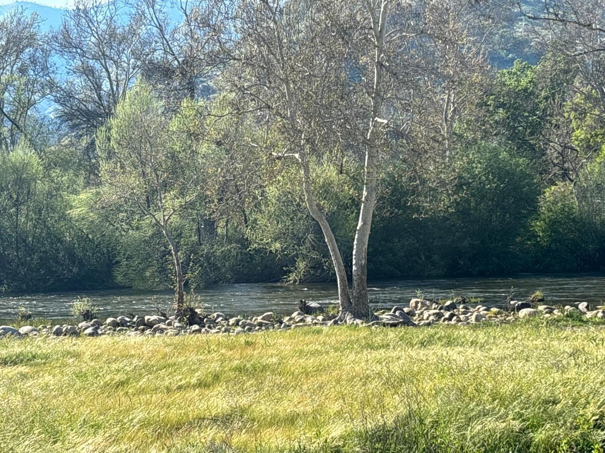 Sequoia River Front Cabins Three Rivers Buitenkant foto