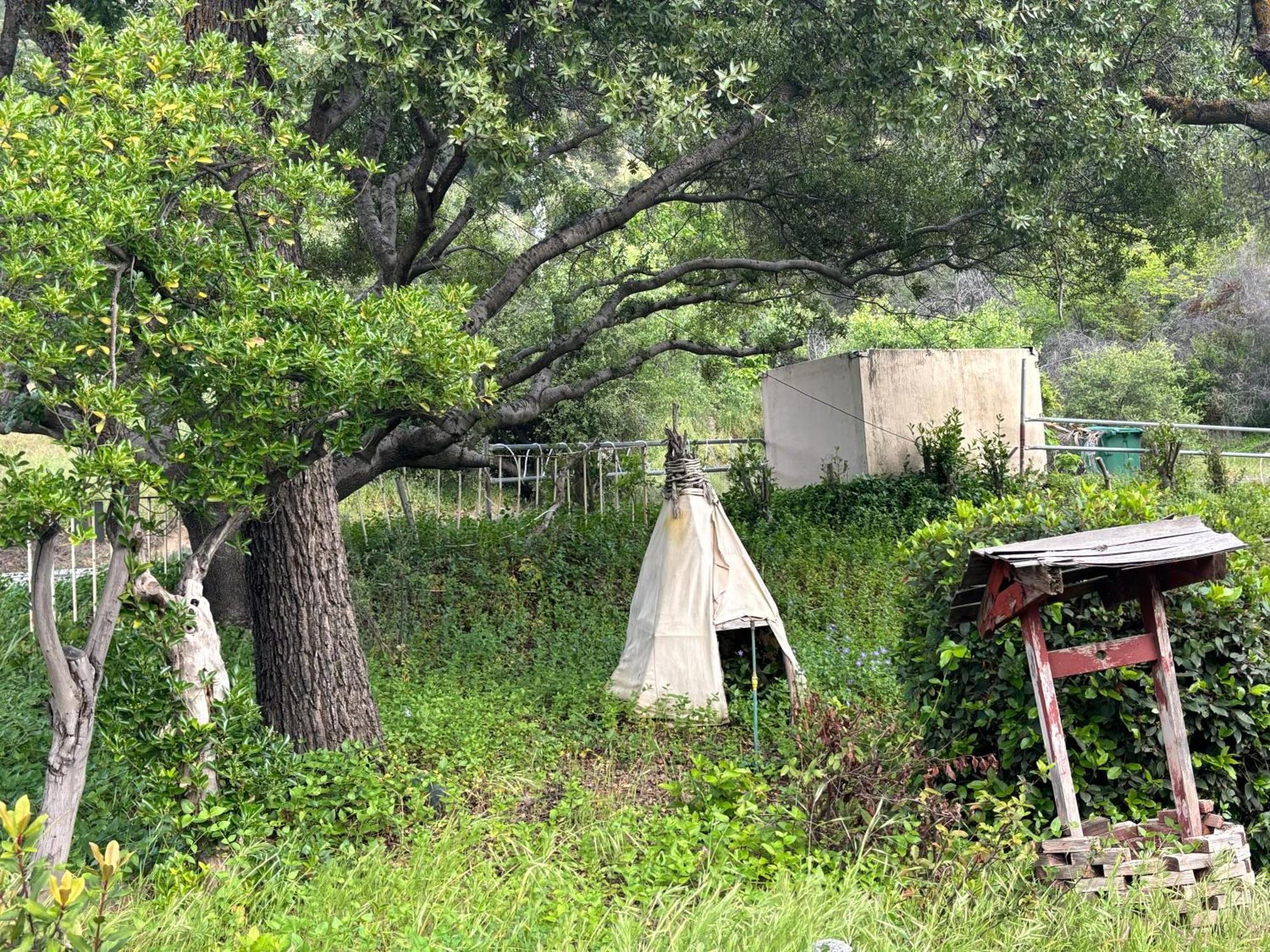 Sequoia River Front Cabins Three Rivers Buitenkant foto